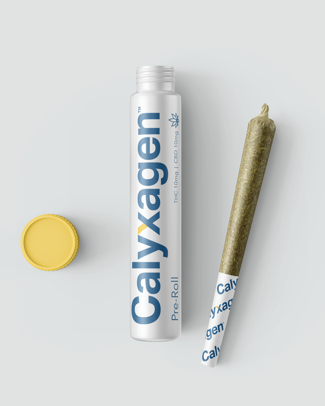CALYX(WEBCATALOGUE)PREROLL